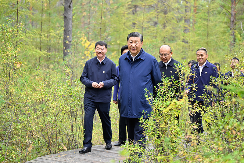 9月6日至8日，中共中央總書記、國家主席、中央軍委主席習(xí)近平在黑龍江考察。這是6日下午，習(xí)近平在大興安嶺地區(qū)漠河市漠河林場自然林區(qū)考察